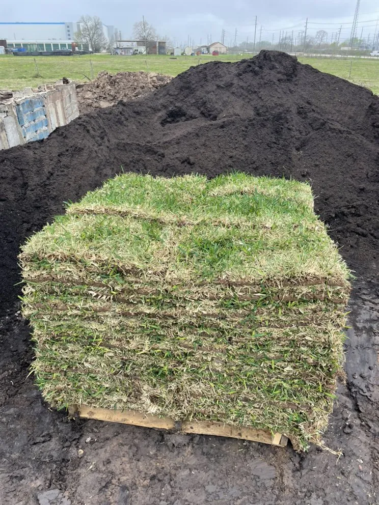 Reliable garden landscaping for homes in Houston, TX by Houstons Grass Supplier