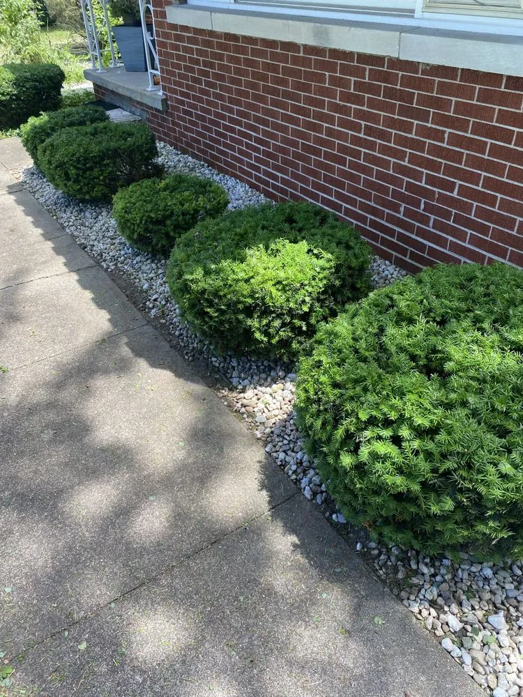 Affordable yard maintenance for year-round maintenance in Shelbyville, IN by Houston's Lawn Design