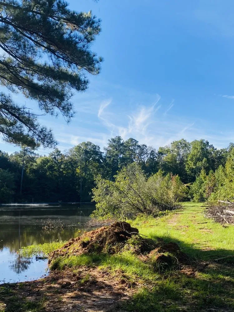 Custom residential landscaping in Carthage, MS by Houston’s Mulching & Excavation Service