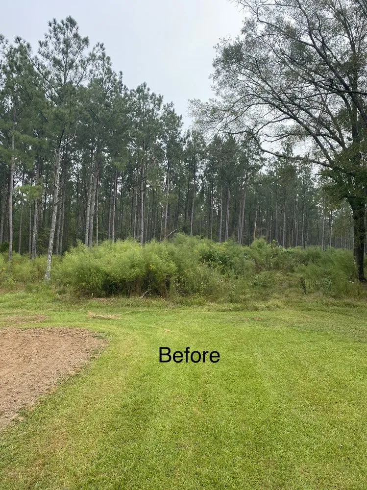 Custom yard maintenance in Carthage, MS by Houston’s Mulching & Excavation Service