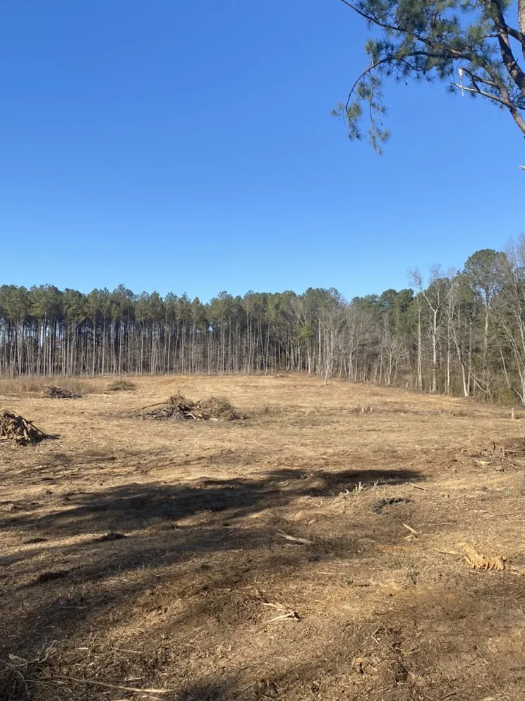 Professional outdoor landscaping in Carthage, MS by Houston’s Mulching & Excavation Service