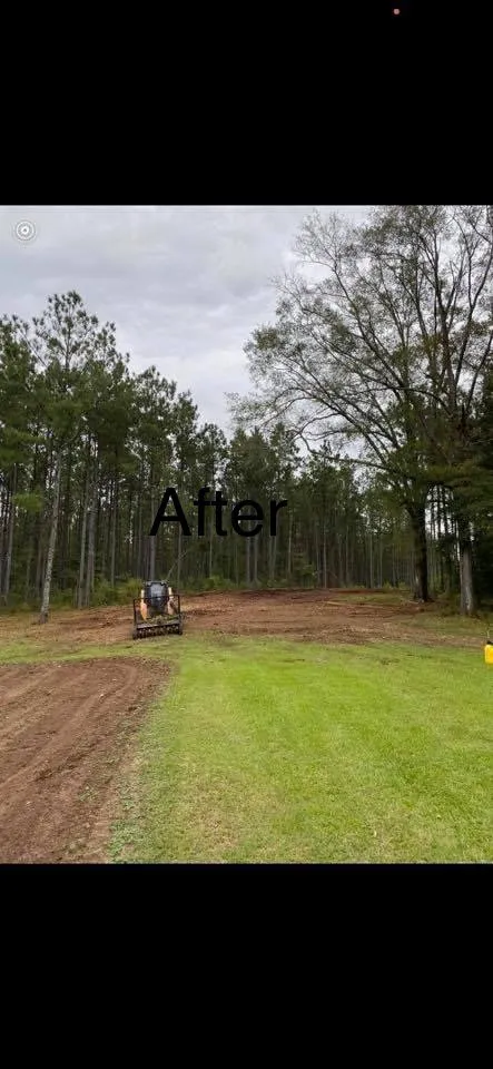 Local landscaping services in Carthage, MS by Houston’s Mulching & Excavation Service