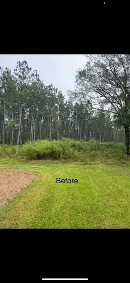 Top-rated landscape installation with custom design across Carthage, MS - Houston’s Mulching & Excavation Service