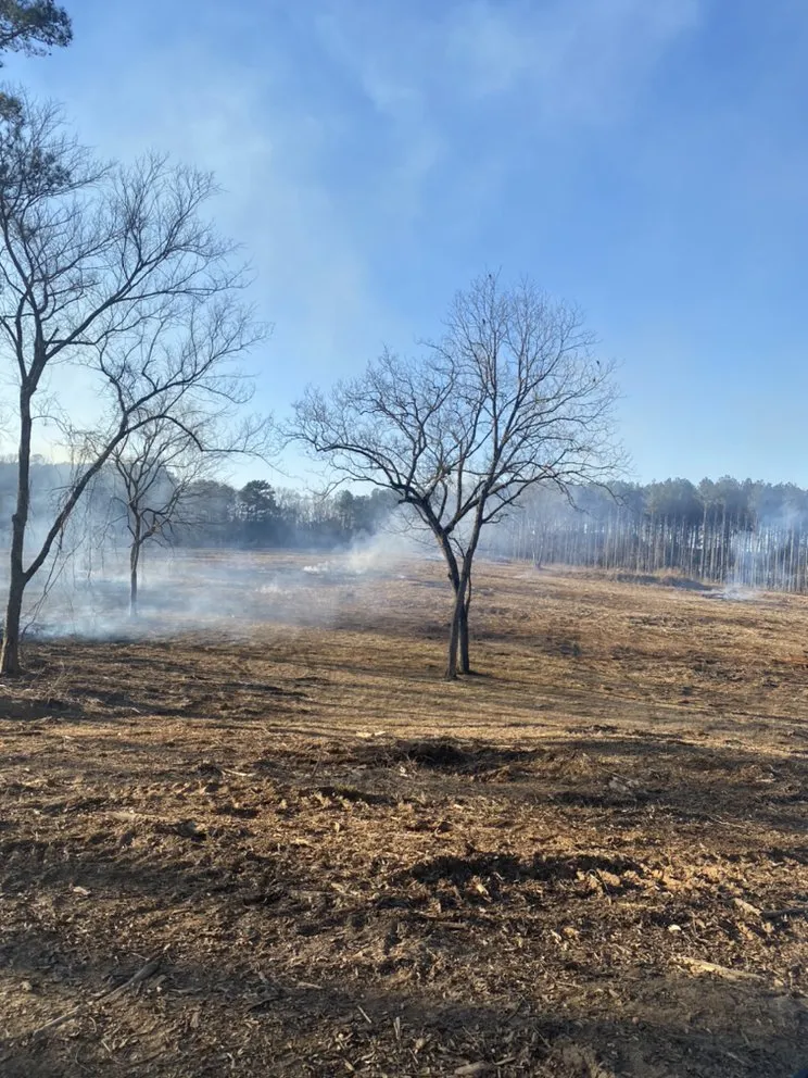 Affordable outdoor landscaping experts serving Carthage, MS - Houston’s Mulching & Excavation Service