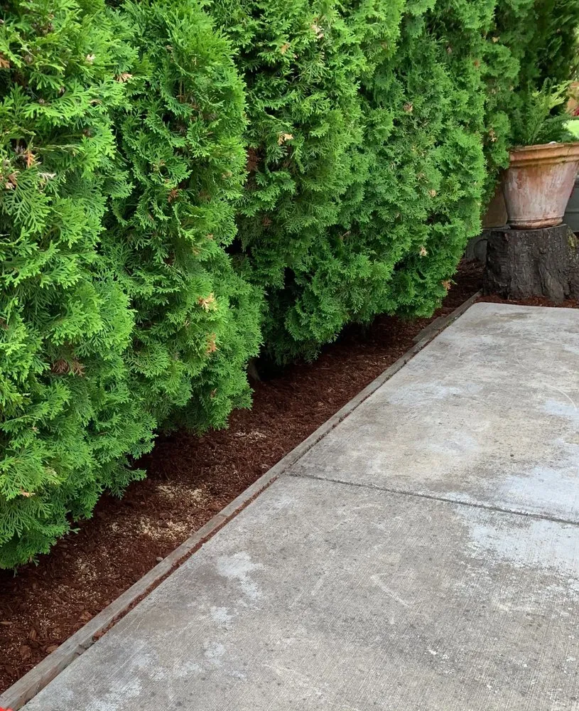 Professional garden landscaping for beautiful yards across Monroe, WA - Hovde Landscaping