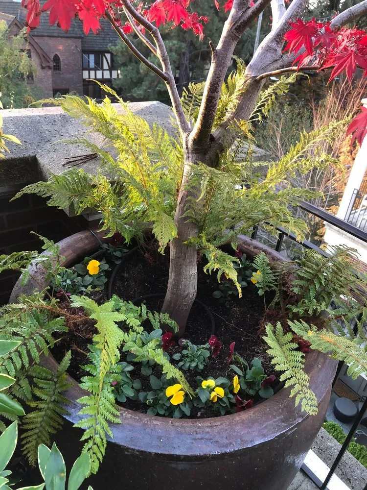 Reliable lawn mowing service with custom design across Monroe, WA - Hovde Landscaping