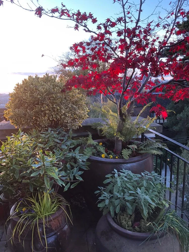 Top-rated lawn mowing service for beautiful yards across Monroe, WA - Hovde Landscaping