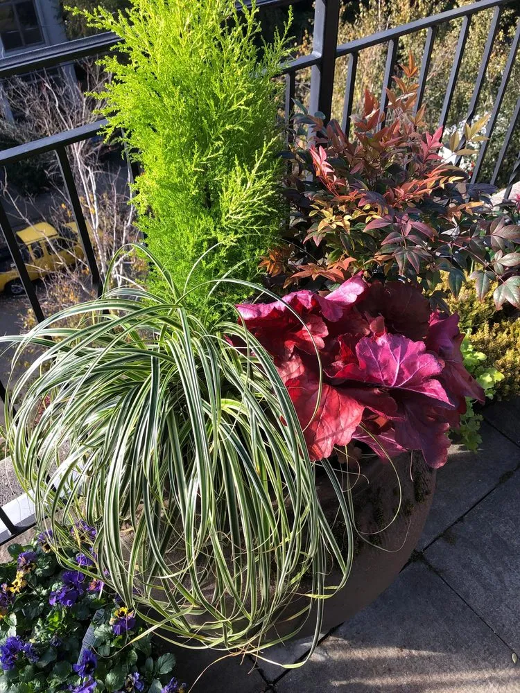 Affordable landscape installation with custom design across Monroe, WA - Hovde Landscaping