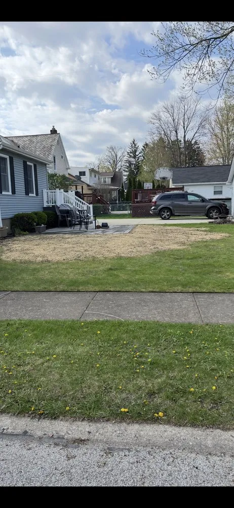 Expert yard cleanup service in Rocky River, OH by Hover Lawn Care