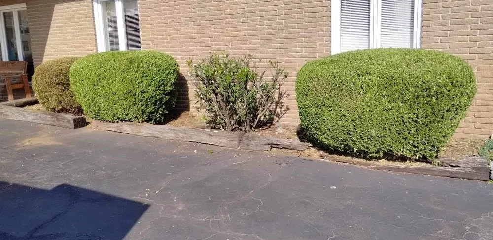 Custom landscape installation experts serving Hickory, NC - How Deep Trenching and Landscaping