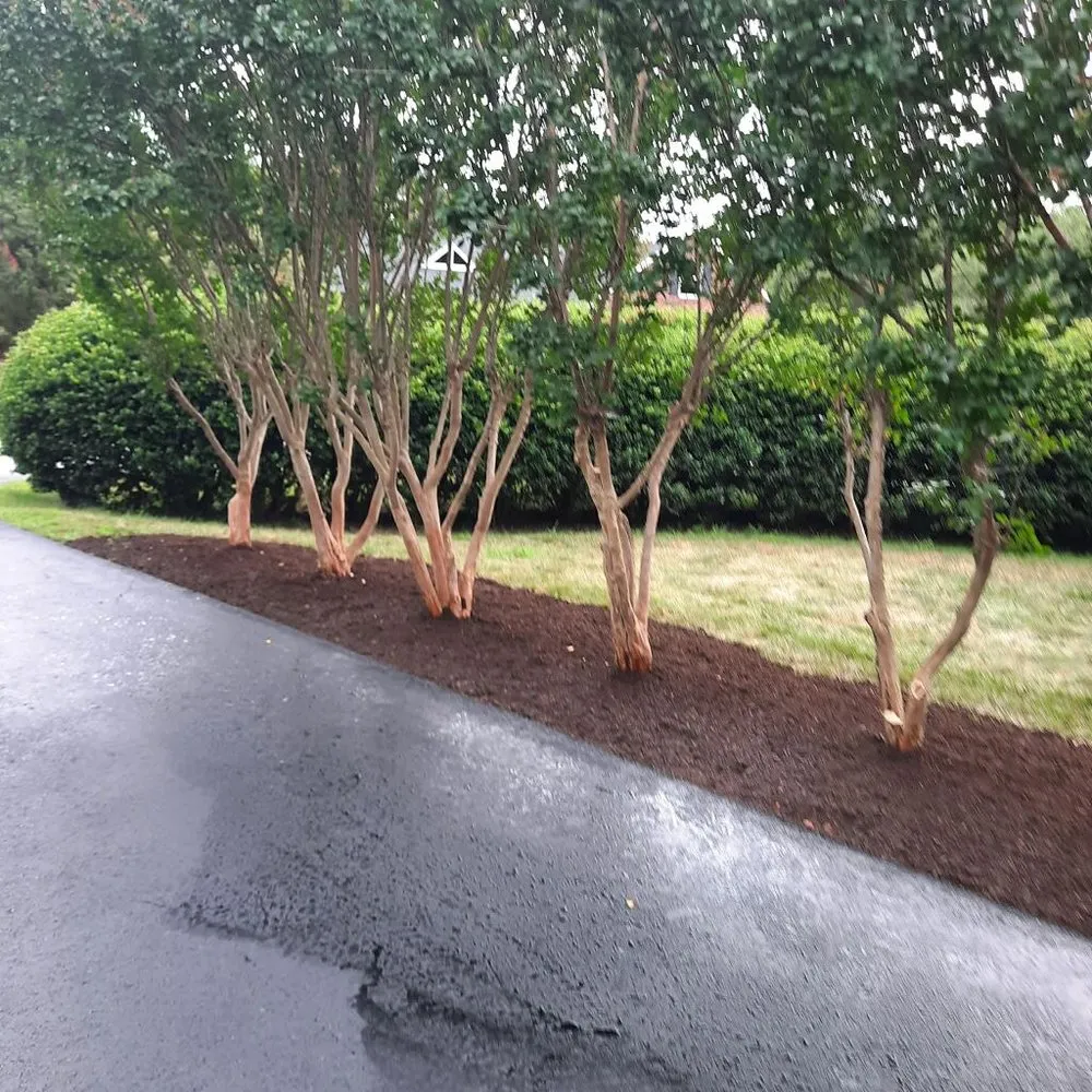 Top-rated outdoor landscaping for residential properties across Hickory, NC - How Deep Trenching and Landscaping
