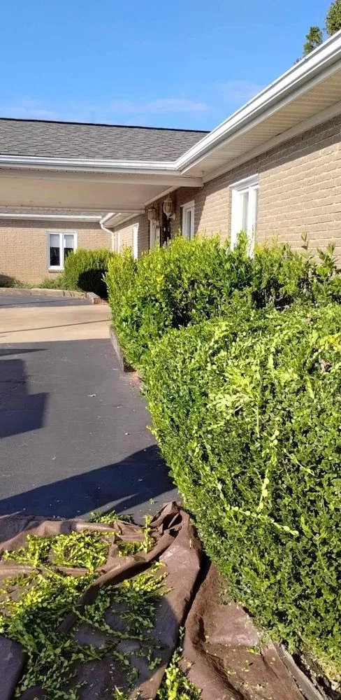 Expert landscape installation for outdoor upgrades across Hickory, NC - How Deep Trenching and Landscaping