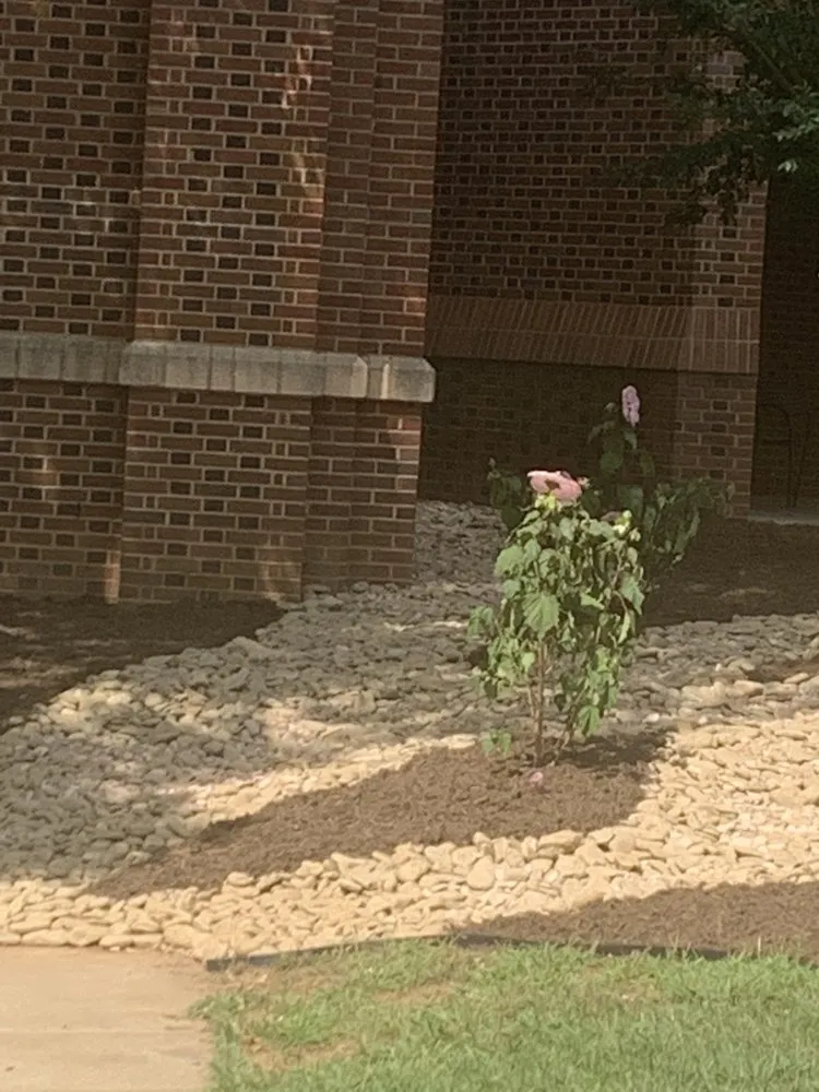 Local landscape installation for residential properties in Hickory, NC by How Deep Trenching and Landscaping