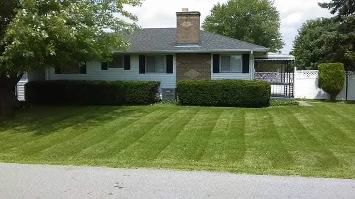 Reliable lawn care service in Columbus, OH by How U Want It