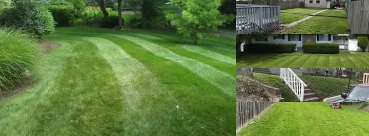 Reliable yard cleanup service for outdoor upgrades in Columbus, OH by How U Want It