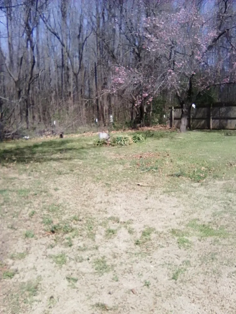 Trusted residential landscaping experts serving Paragould, AR - Howard Brothers Property Maintenance & More