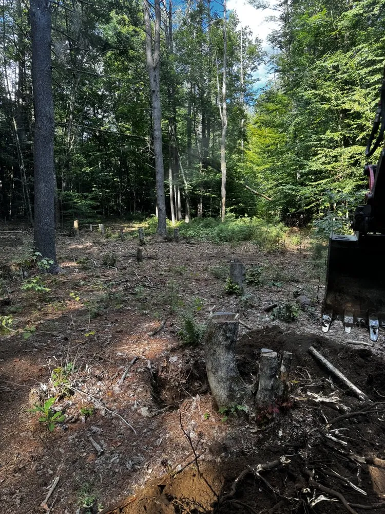 Trusted lawn mowing service for year-round maintenance in Spofford, NH by Howard Construction