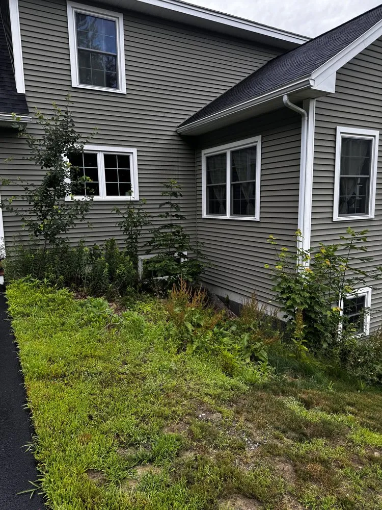 Affordable yard cleanup service for beautiful yards across Spofford, NH - Howard Construction