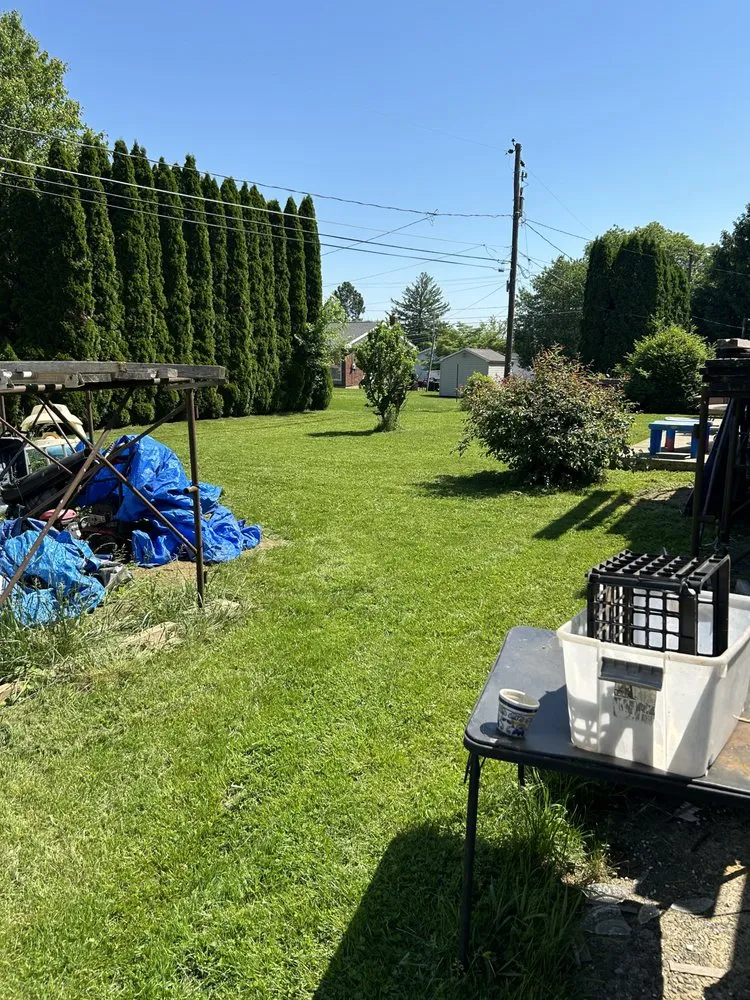 Top-rated yard cleanup service for outdoor upgrades in Bethlehem, PA by Howard Contributions