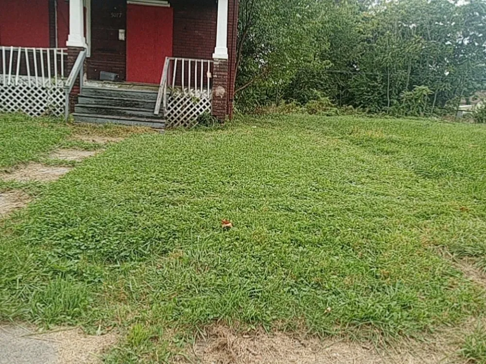 Top-rated lawn mowing service with custom design in Detroit, MI by Howard Lawn Service