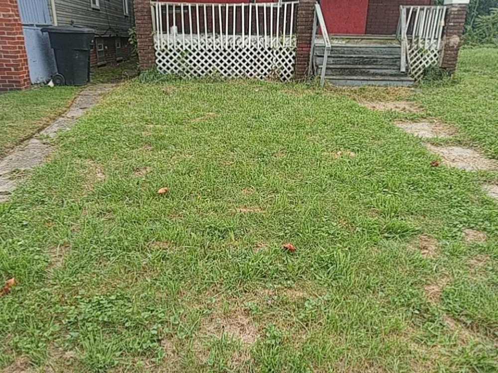 Expert lawn care service for beautiful yards across Detroit, MI - Howard Lawn Service