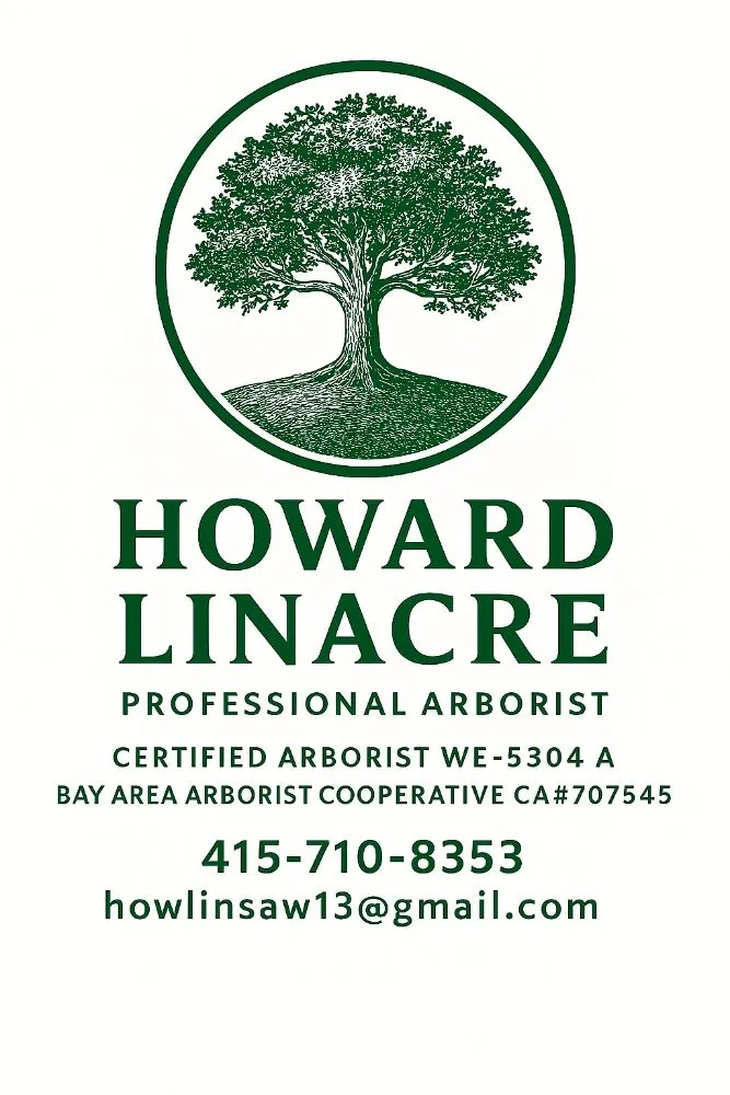 Affordable garden landscaping in Pacifica, CA by Howard Linacre - Arborist