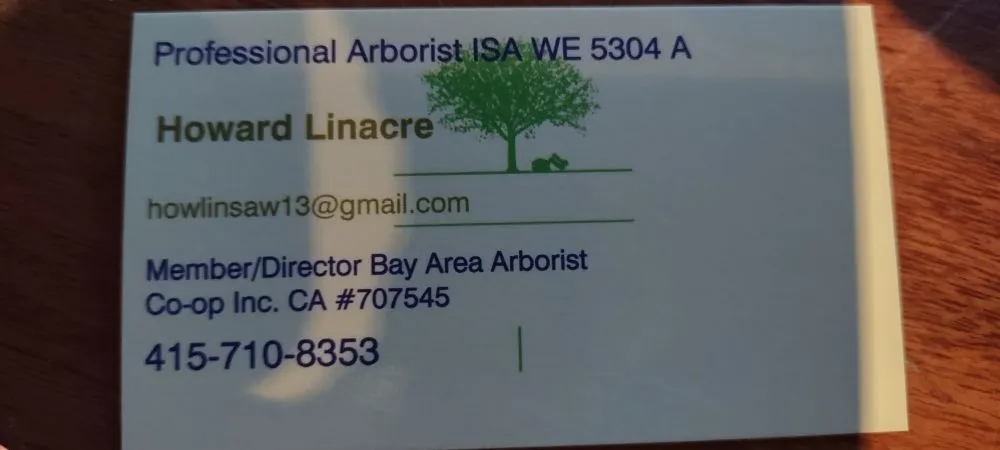 Professional yard cleanup service in Pacifica, CA - Howard Linacre - Arborist
