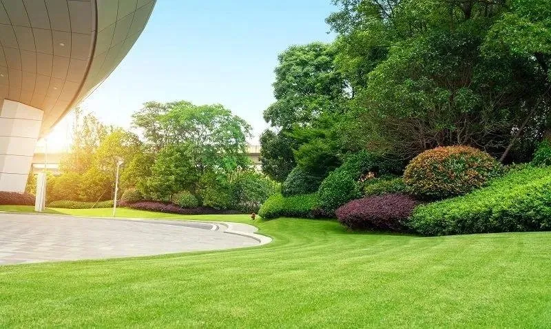 Expert lawn care service experts serving Lakewood, NJ - Howard Payne Landscaping & Design