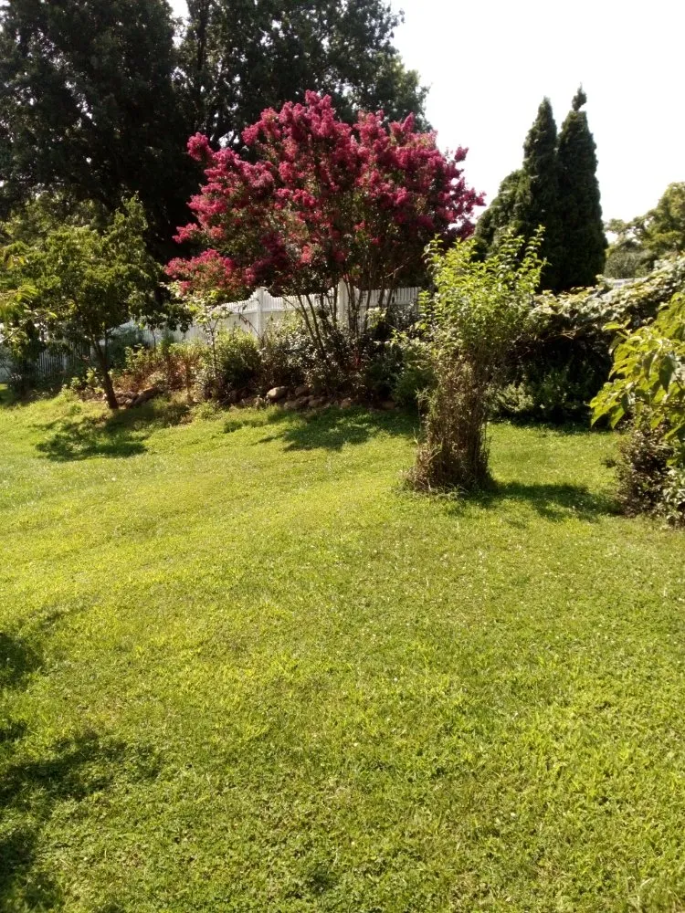 Reliable yard cleanup service experts serving Salem, VA - Howard Stclair Landscaping