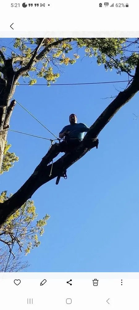 Custom lawn care service experts serving Perryville, MO - Howard Tree Service And Landscaping