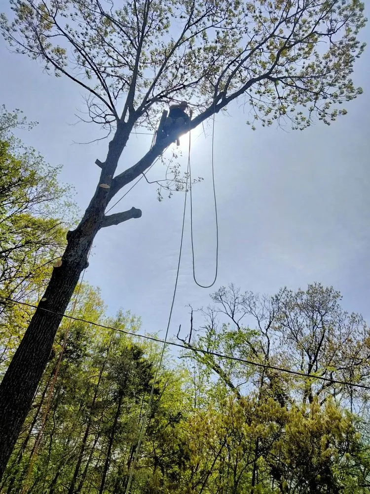 Local lawn care service experts serving Perryville, MO - Howard Tree Service And Landscaping