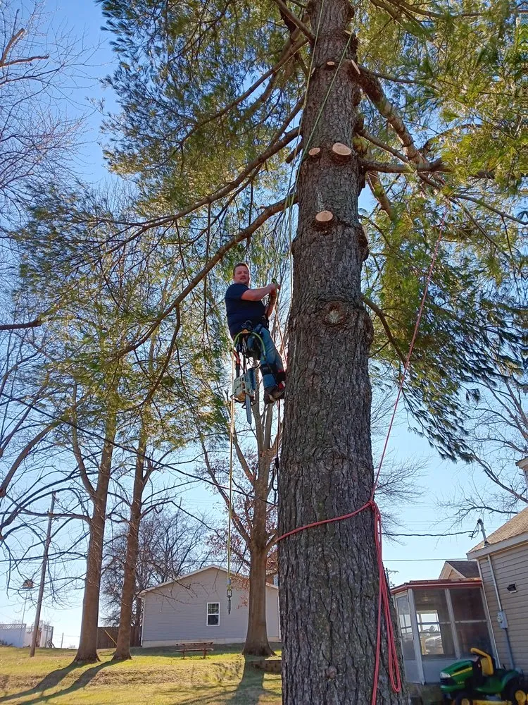 Custom landscaping services in Perryville, MO - Howard Tree Service And Landscaping