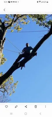 Howard Tree Service And Landscaping Logo