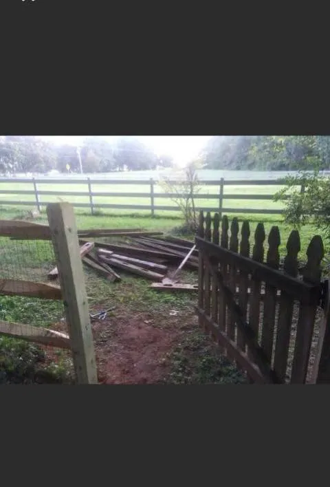 Reliable landscaping services for year-round maintenance across Charlotte, NC - Howard's landscapes