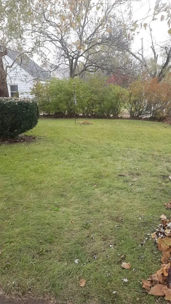 Reliable lawn care service for homes across Dayton, OH - Howard's Lawn Care And Snow Removal