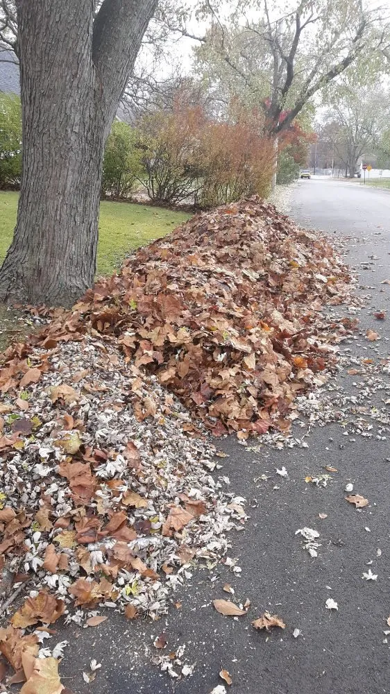 Expert lawn care service in Dayton, OH - Howard's Lawn Care And Snow Removal