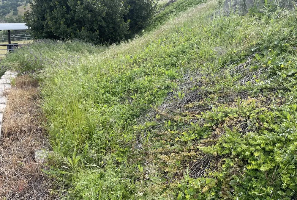 Local yard maintenance in Fresno, CA - Howard’s Lawn Service