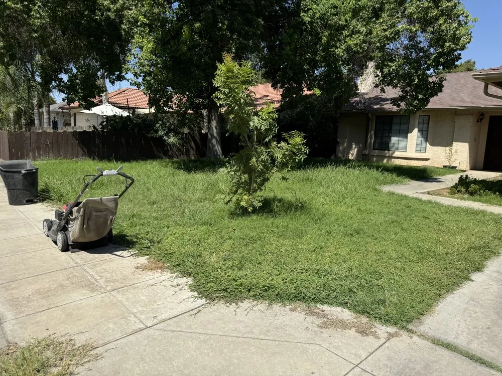 Professional yard cleanup service near you in Fresno, CA by Howard’s Lawn Service