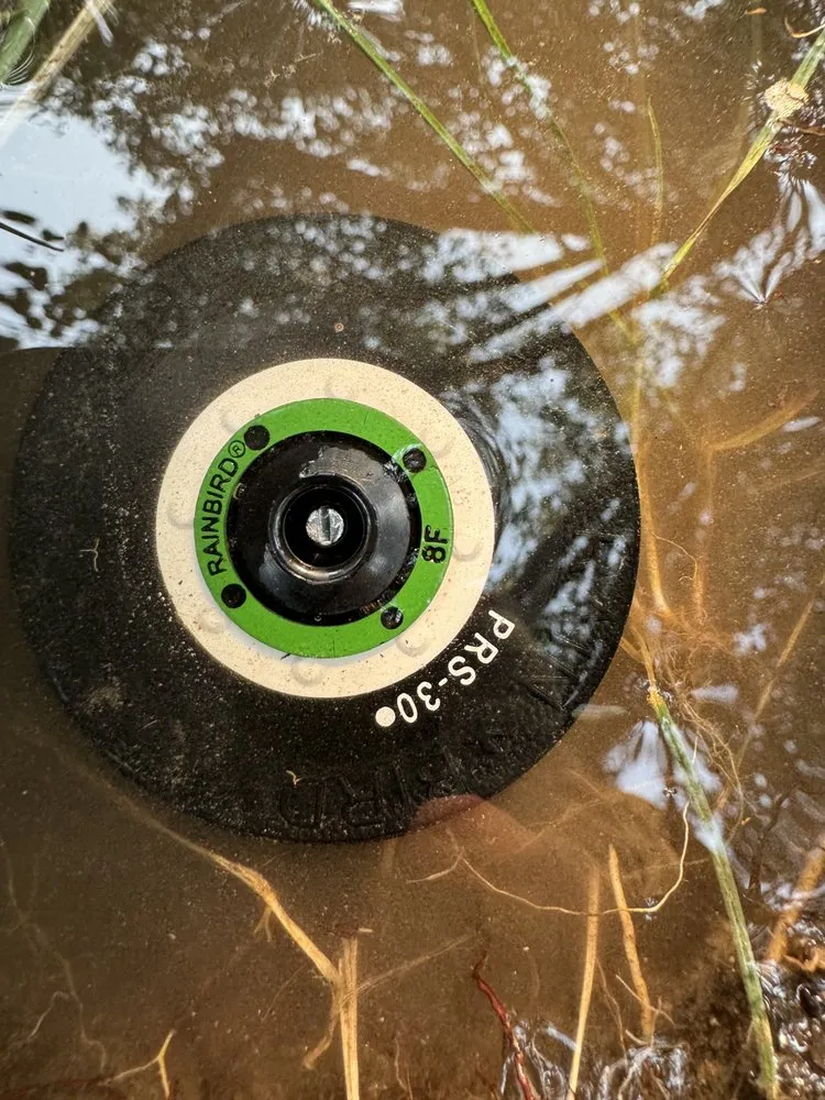 Custom outdoor landscaping in Fresno, CA by Howard’s Lawn Service