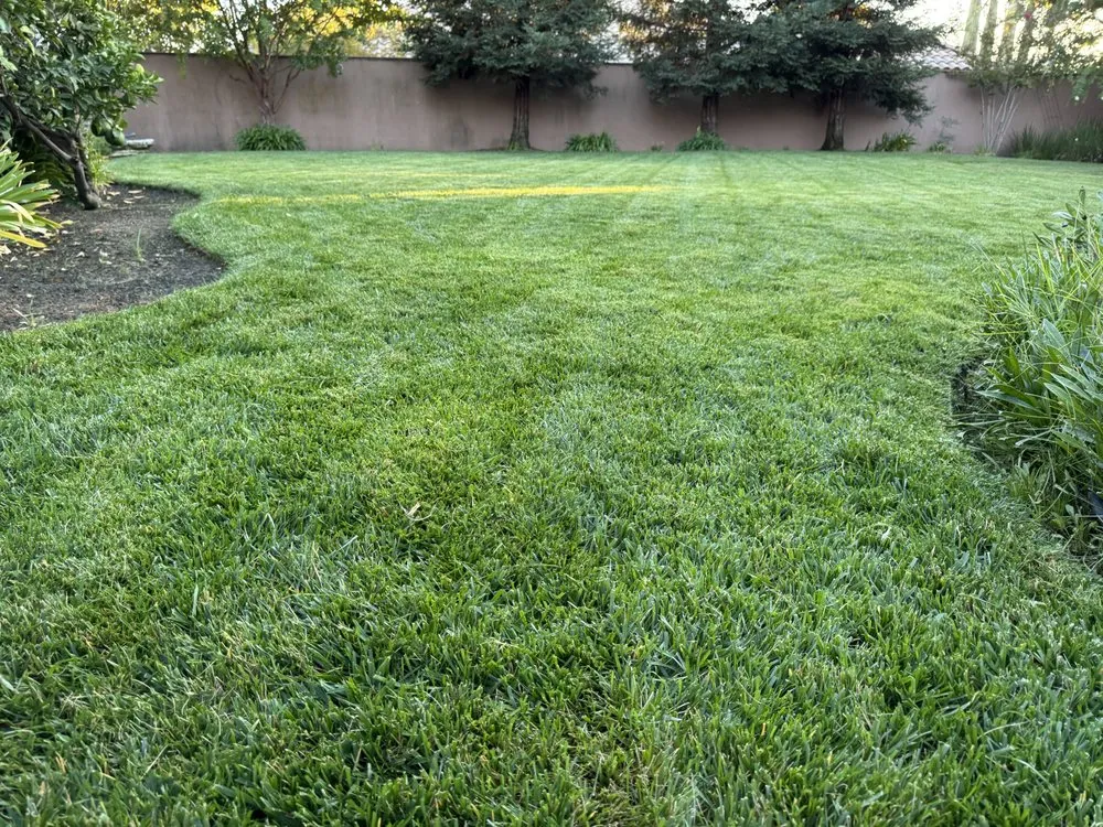Trusted landscape installation in Fresno, CA - Howard’s Lawn Service