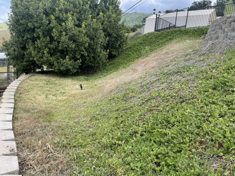 Affordable landscape design in Fresno, CA - Howard’s Lawn Service