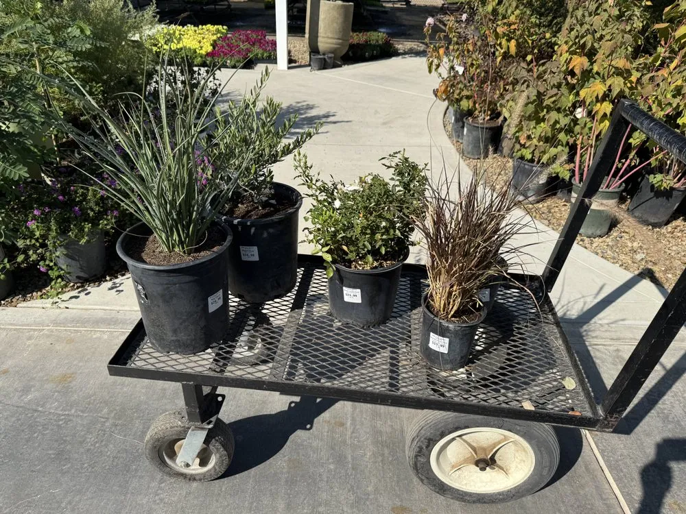 Expert garden landscaping experts serving Fresno, CA - Howard’s Lawn Service