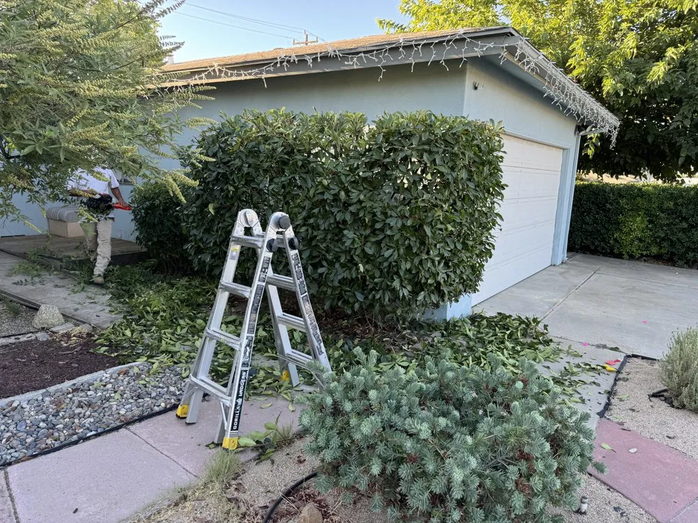 Reliable residential landscaping in Fresno, CA by Howard’s Lawn Service