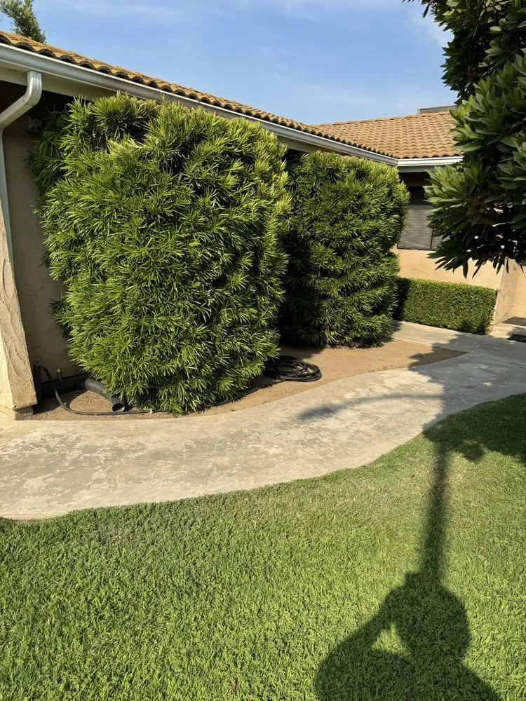 Affordable lawn mowing service in Fresno, CA by Howard’s Lawn Service