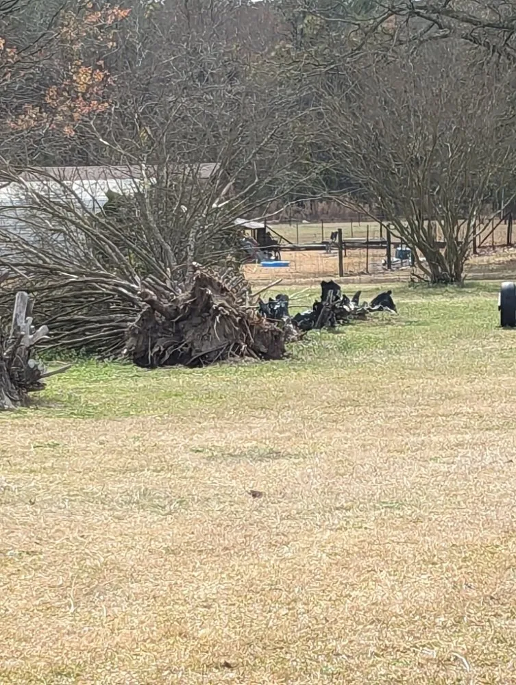 Expert landscape design near you across Pink Hill, NC - Howard's tractor services
