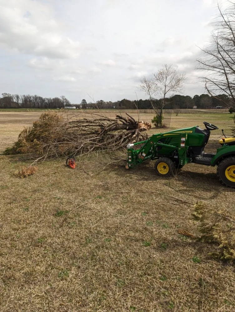 Expert residential landscaping in Pink Hill, NC by Howard's tractor services