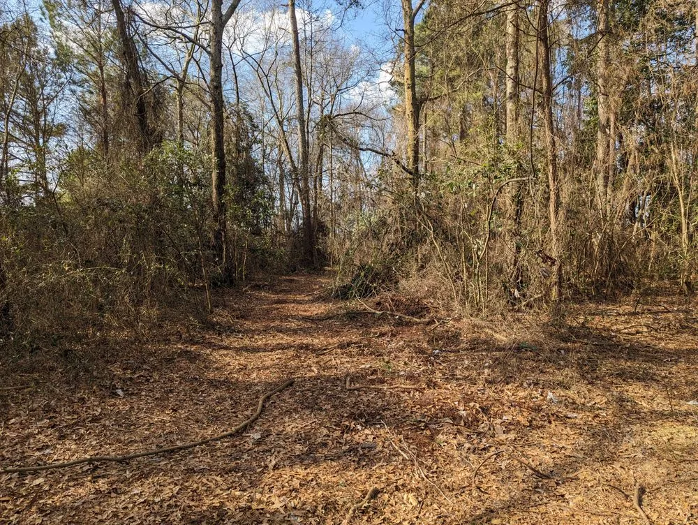 Local landscaping services in Pink Hill, NC - Howard's tractor services