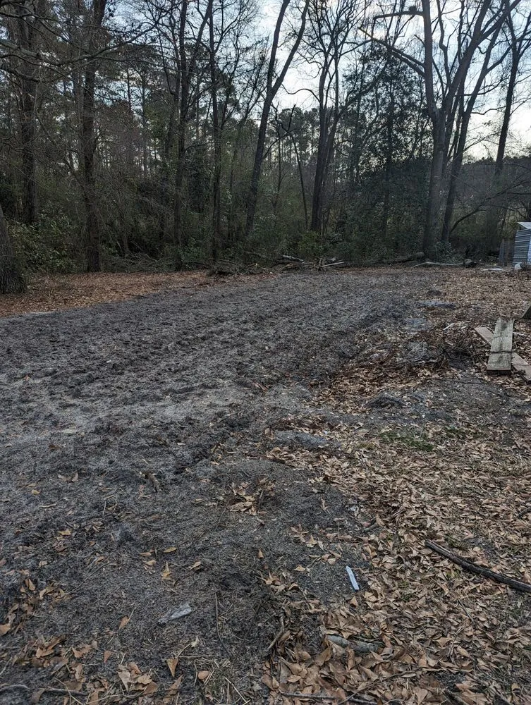 Professional yard cleanup service experts serving Pink Hill, NC - Howard's tractor services