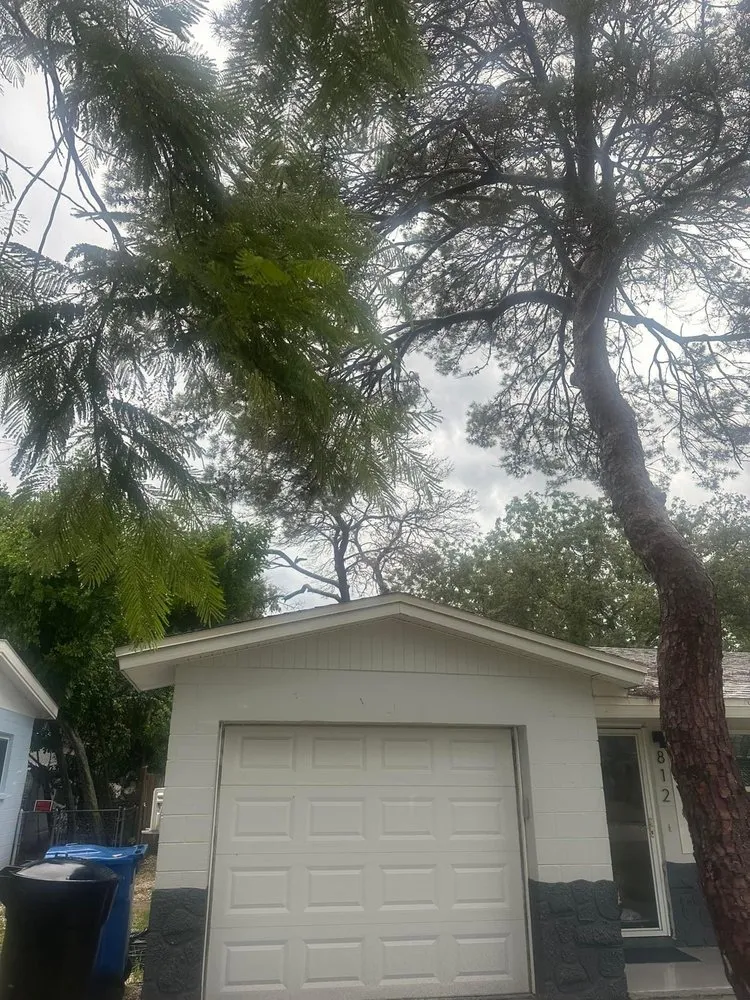 Custom yard maintenance in St. Petersburg, FL by Howard’s Tree Service