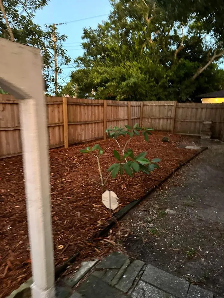 Local yard cleanup service experts serving St. Petersburg, FL - Howard’s Tree Service